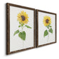 Sunflower I   - Premium Framed Canvas 2 Piece Set - Ready to Hang