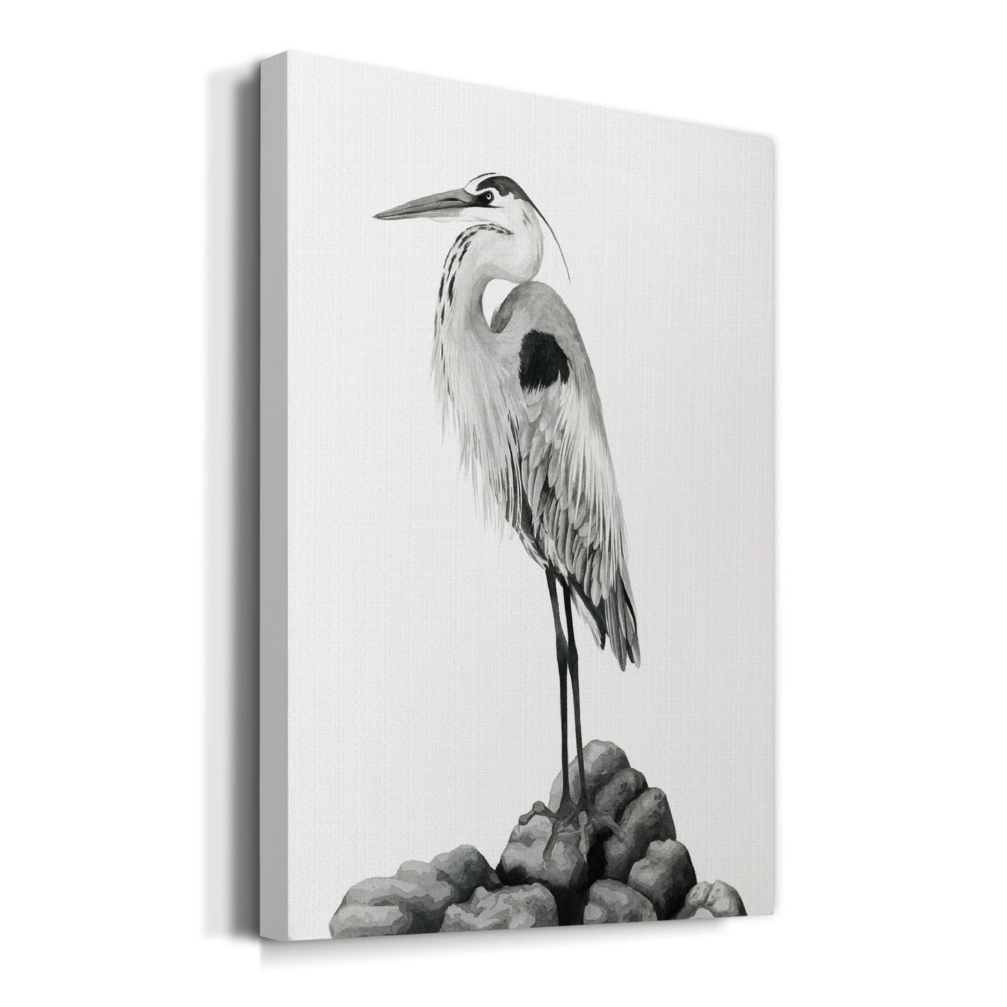 Shoreline Heron in B&W II Premium Gallery Wrapped Canvas - Ready to Hang