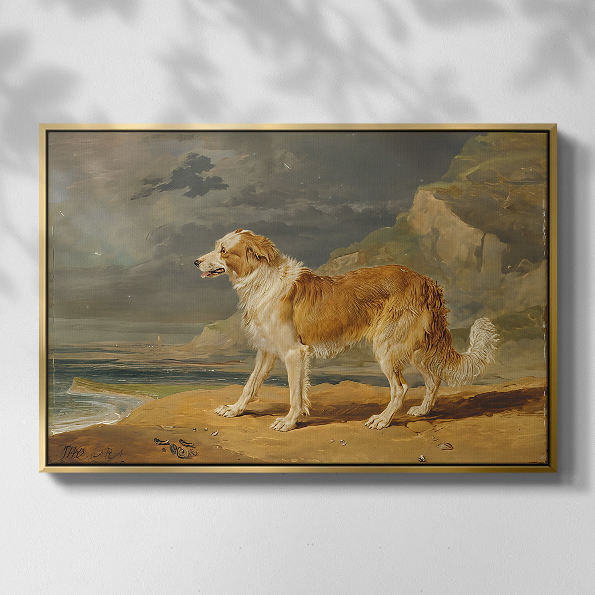 Rough-Coated Collie, 1809 - Floater Framed Canvas Print