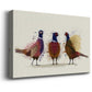 Pheasant Trio - Canvas Art Print