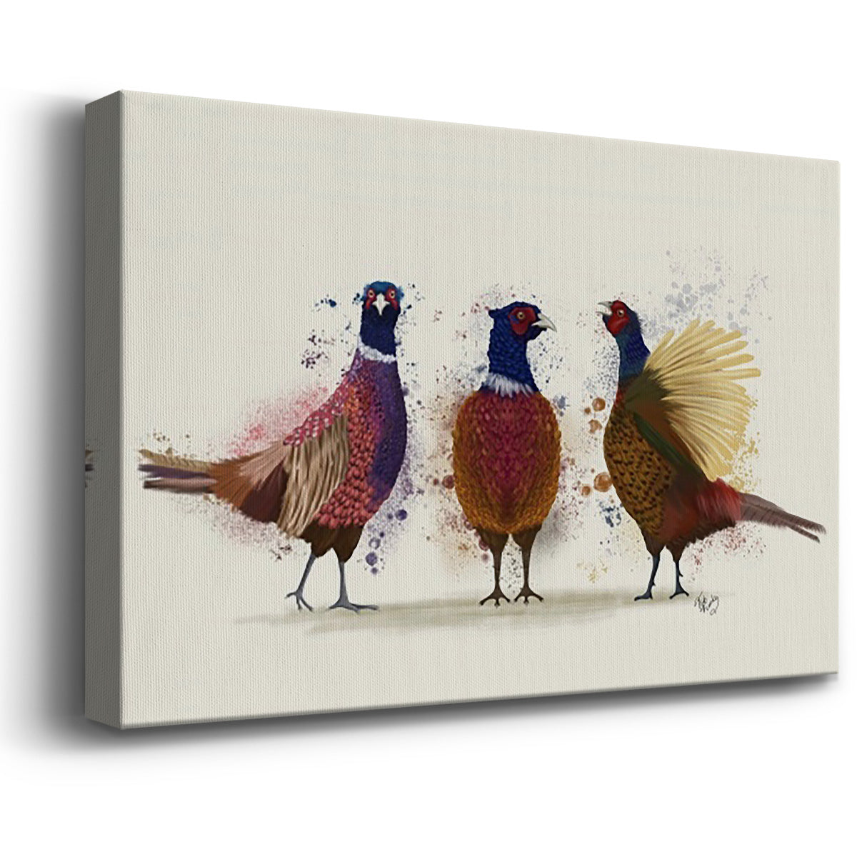 Pheasant Trio - Canvas Art Print