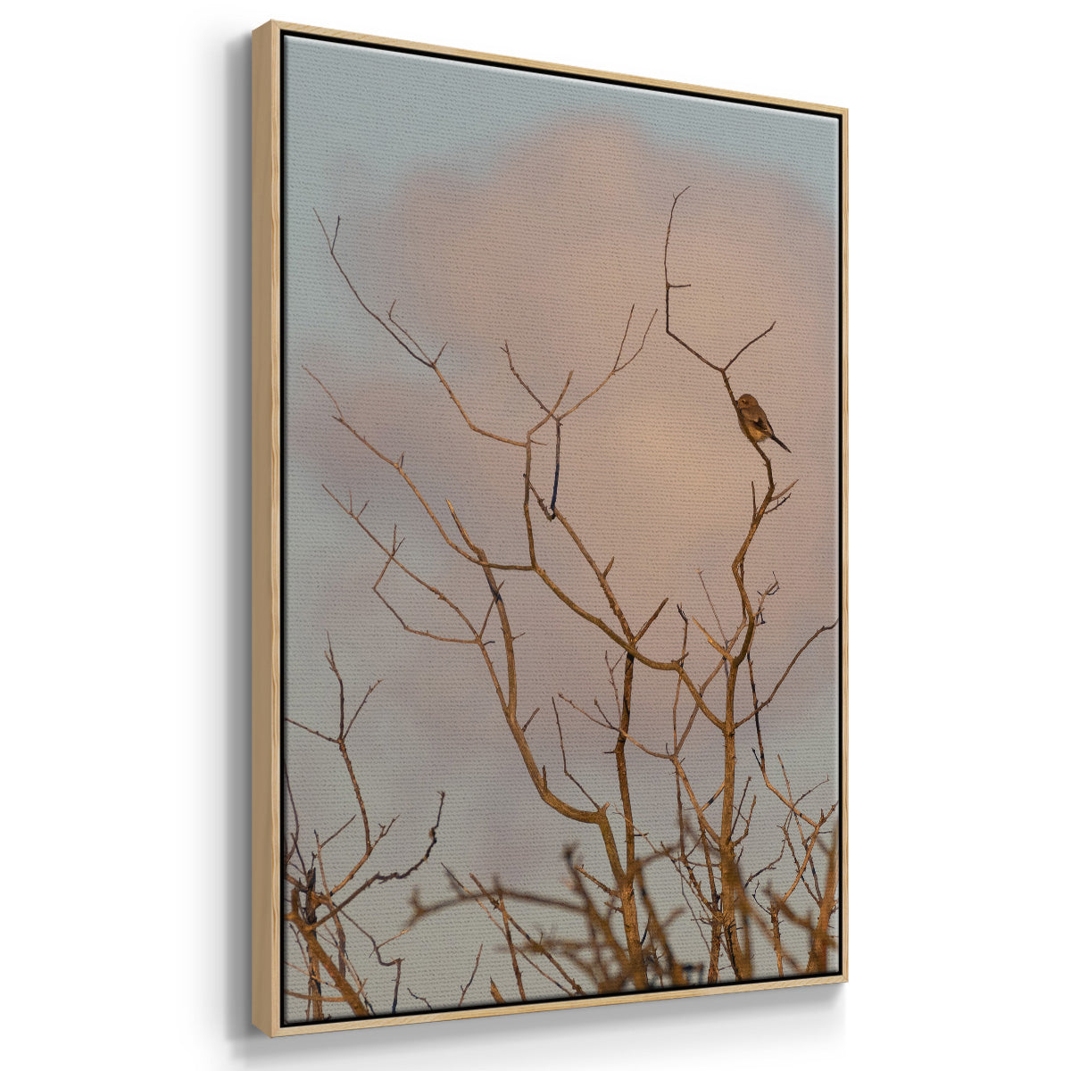 At Dawn - Floater Framed Canvas Print
