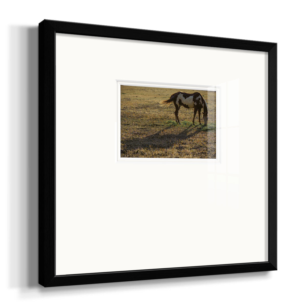 Long Shadow Premium Framed Print Double Matboard