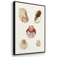 Pastel Knorr Shells I - Framed Premium Gallery Wrapped Canvas L Frame 3 Piece Set - Ready to Hang