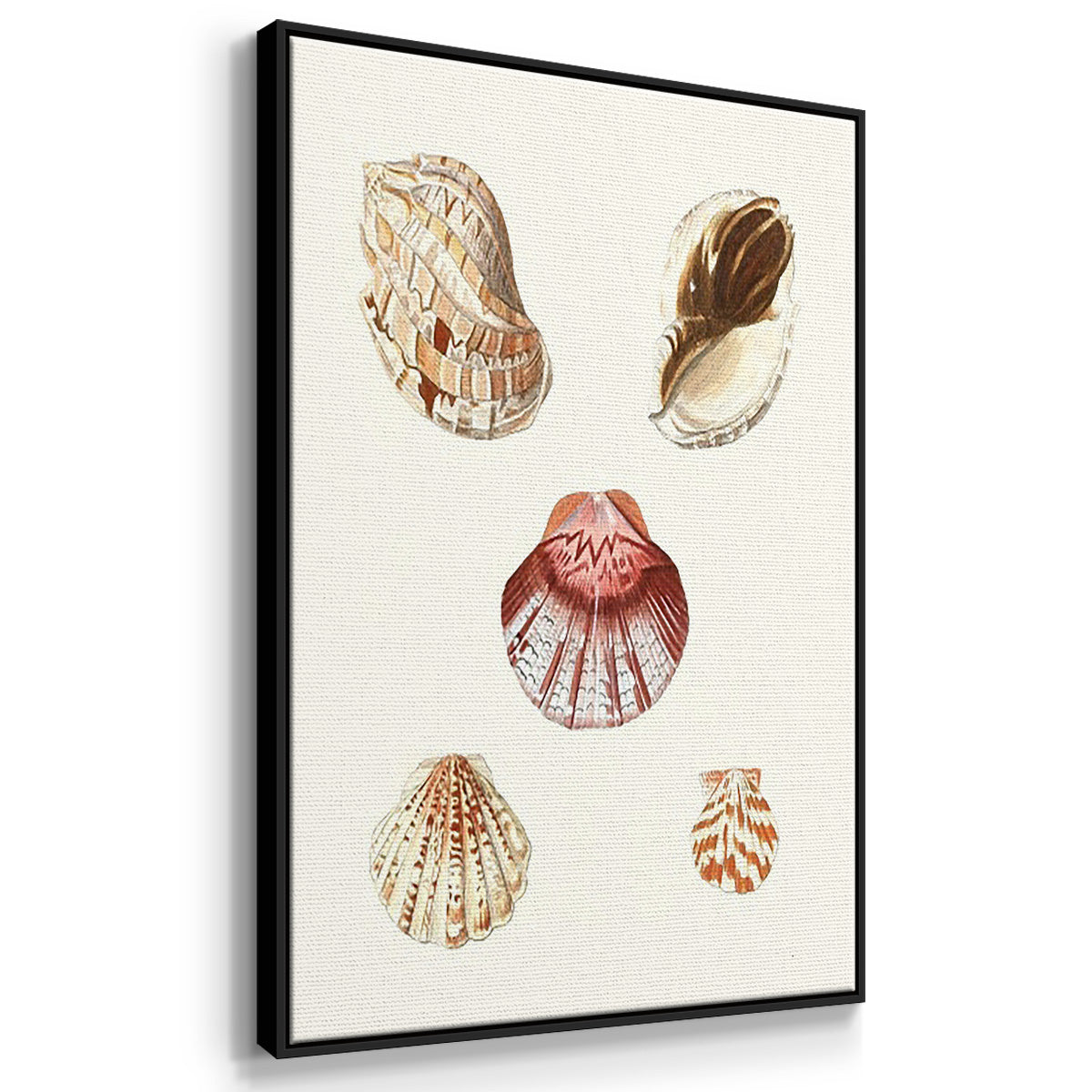 Pastel Knorr Shells I - Framed Premium Gallery Wrapped Canvas L Frame 3 Piece Set - Ready to Hang