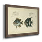 Bloch Antique Fish II Premium Framed Canvas- Ready to Hang