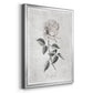 Vintage Botanical I - Modern Framed Canvas Print