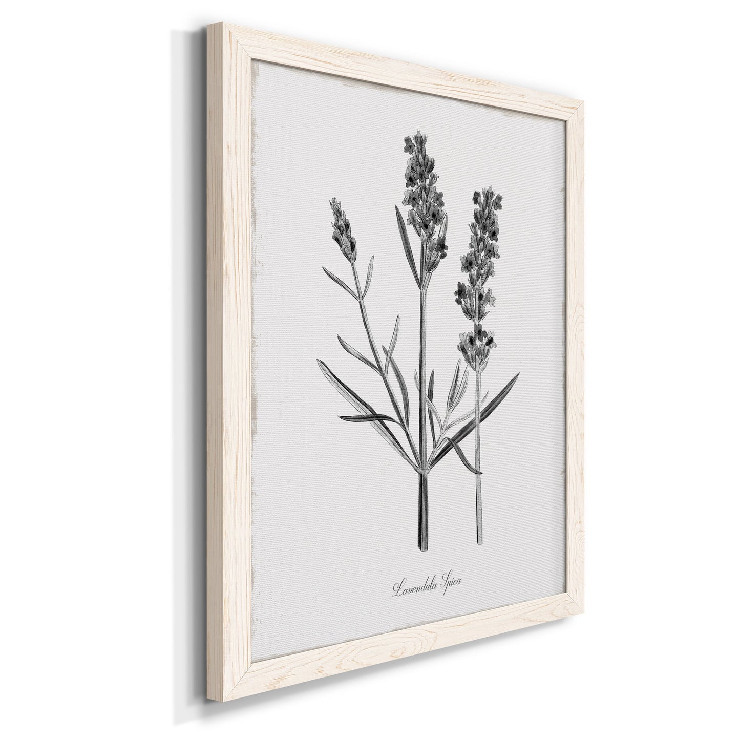 Simply Lavender - Premium Canvas Framed in Barnwood - Ready to Hang