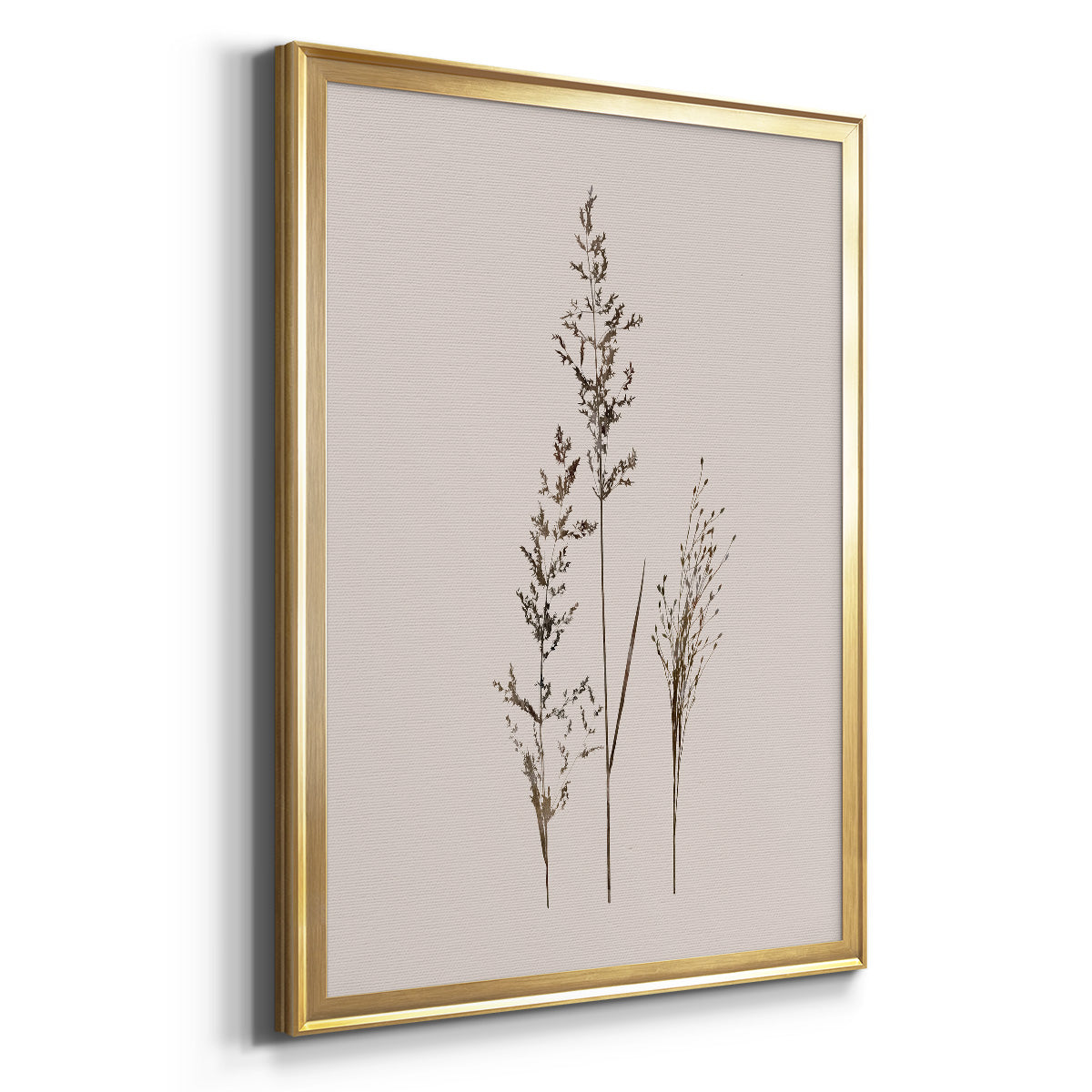 Delicate Stems I - Modern Framed Canvas Print