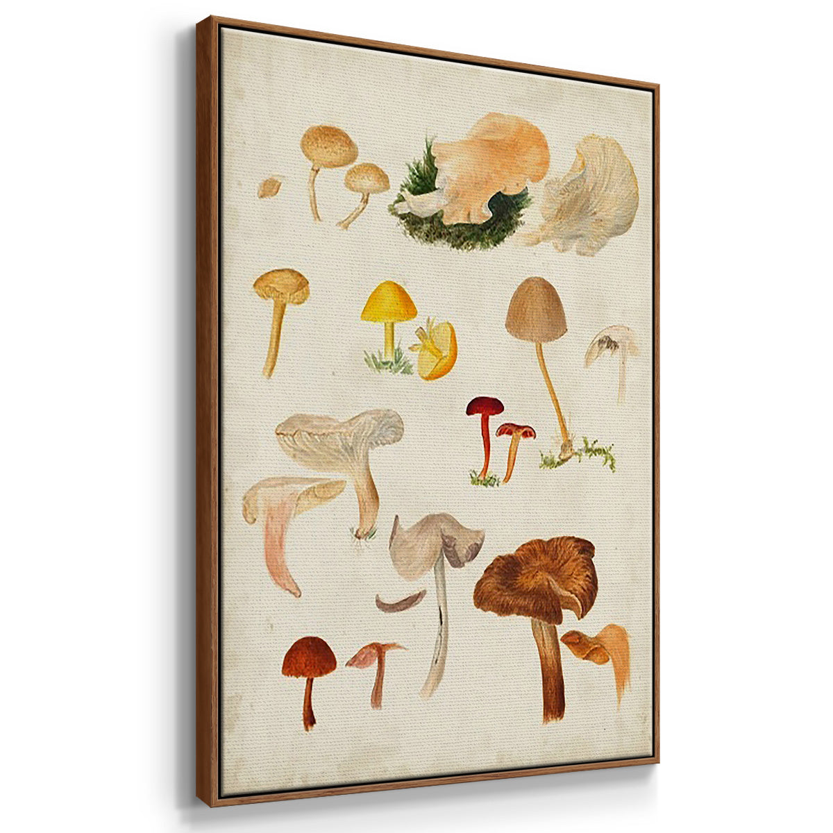 Mushroom Species X - Framed Premium Gallery Wrapped Canvas L Frame 3 Piece Set - Ready to Hang