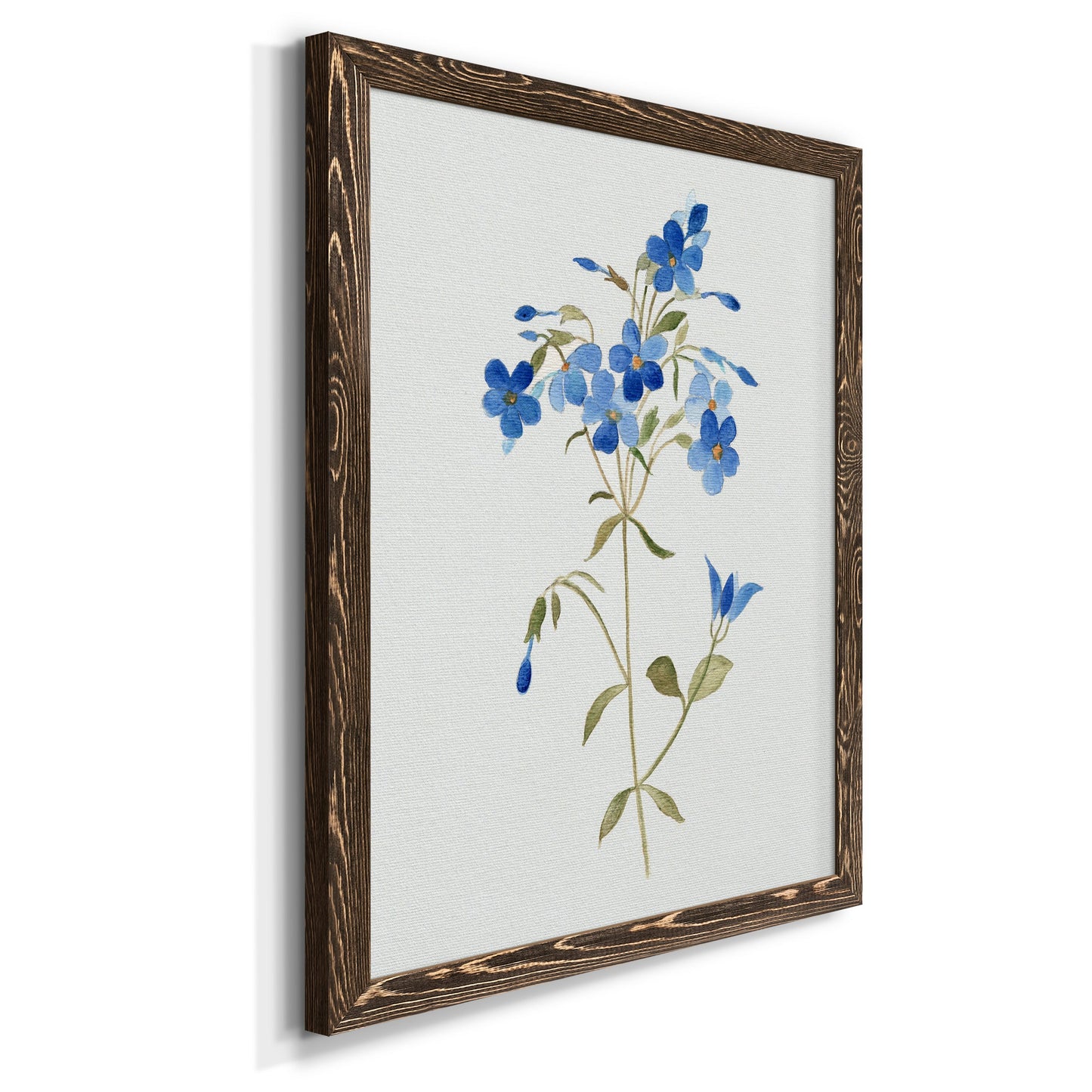 Blue Blossom Botanical II - Premium Canvas Framed in Barnwood - Ready to Hang