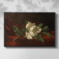 Magnolia on Red Velvet, c. 1885-1890 - Floater Framed Canvas Print