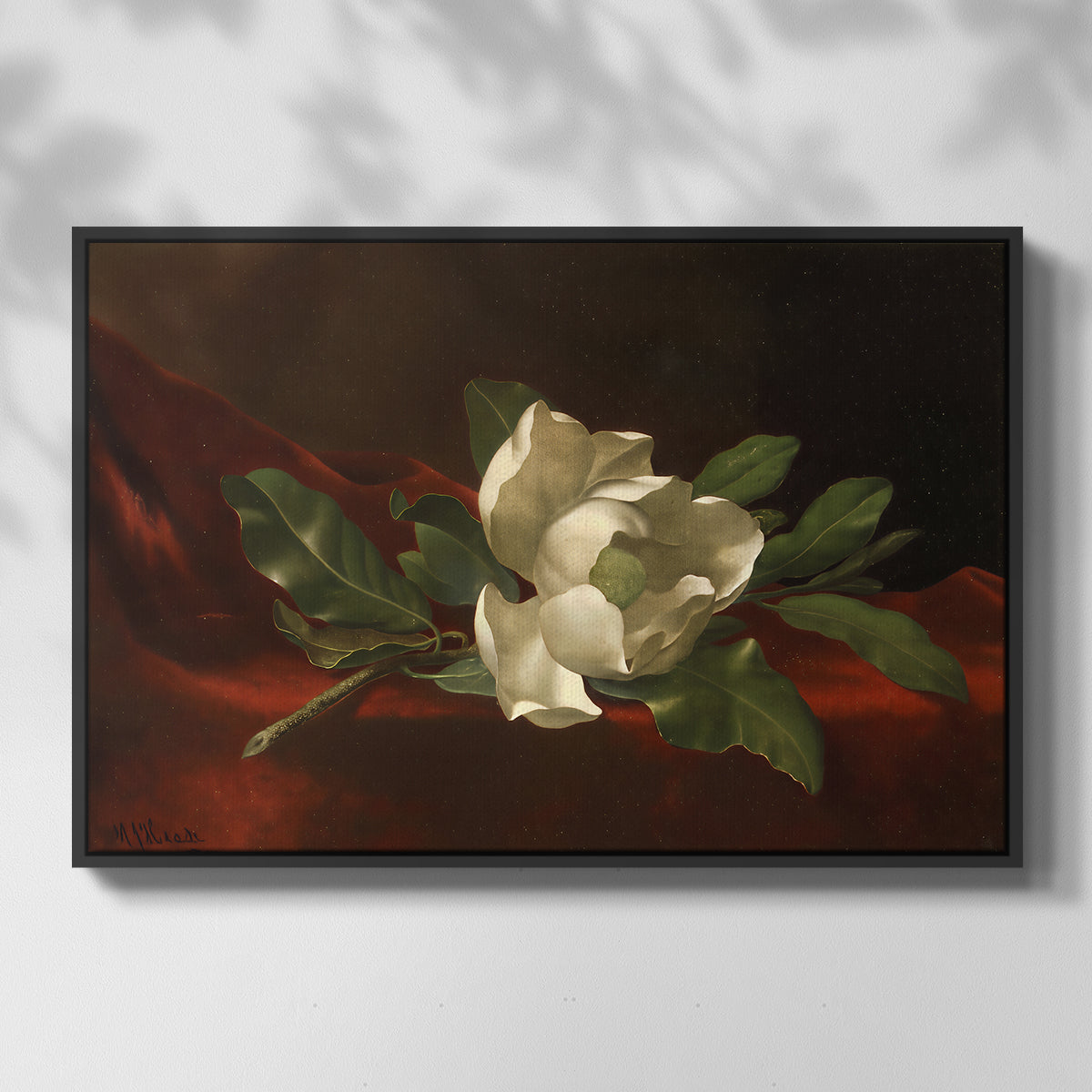 Magnolia on Red Velvet, c. 1885-1890 - Floater Framed Canvas Print