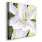 White Lily I-Premium Gallery Wrapped Canvas - Ready to Hang