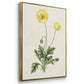 Flowers of the Seasons X - Framed Premium Gallery Wrapped Canvas L Frame 3 Piece Set - Ready to Hang