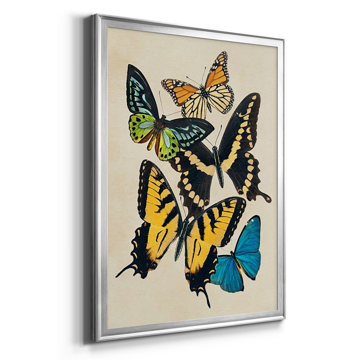 Collaged Butterflies II - Modern Framed Canvas Print