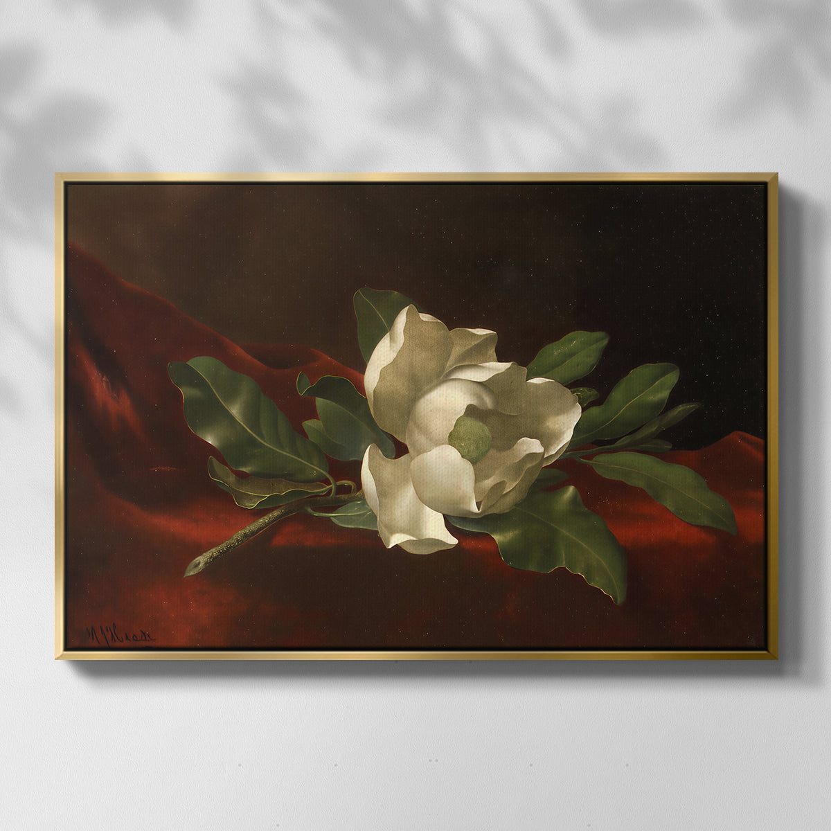 Magnolia on Red Velvet, c. 1885-1890 - Floater Framed Canvas Print