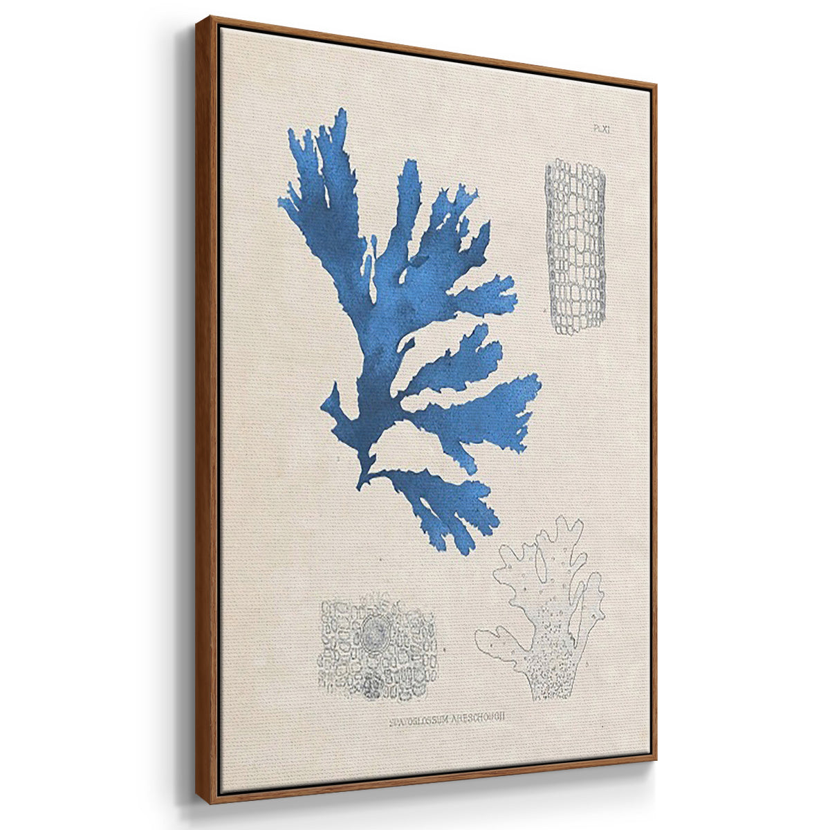 Blue Marine Algae VI - Framed Premium Gallery Wrapped Canvas L Frame 3 Piece Set - Ready to Hang