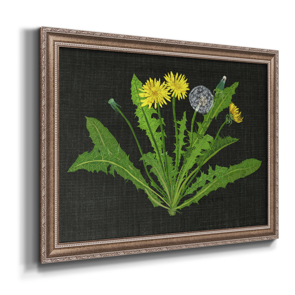 Wild Dandelion II Premium Framed Canvas- Ready to Hang