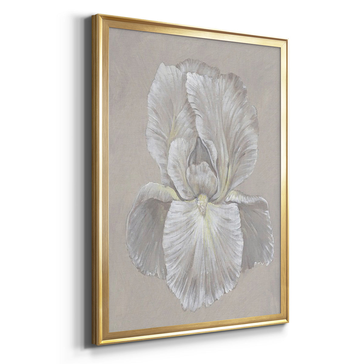 White Iris I - Modern Framed Canvas Print