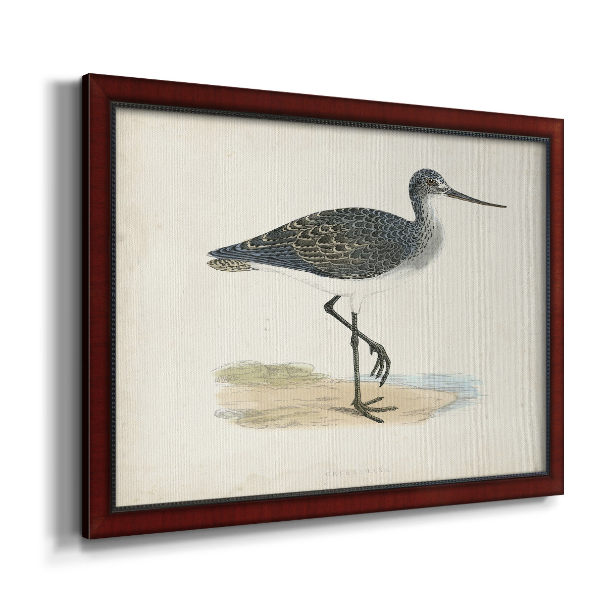 Morris Sandpipers III Premium Framed Canvas- Ready to Hang