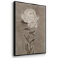 Pretty as a Peony I  -  Framed Canvas Print