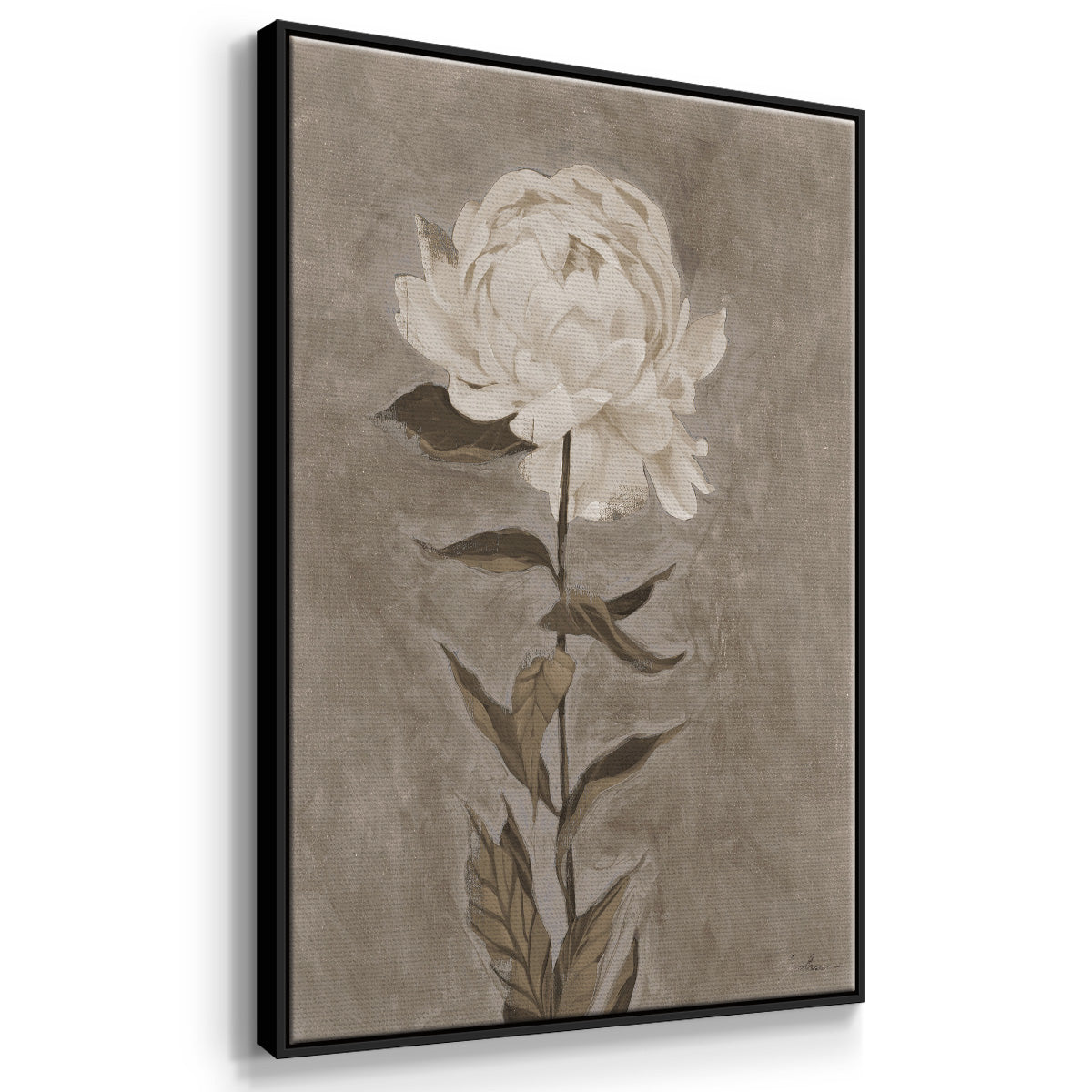 Pretty as a Peony I  -  Framed Canvas Print