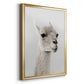 Soft Llama - Modern Framed Canvas Print