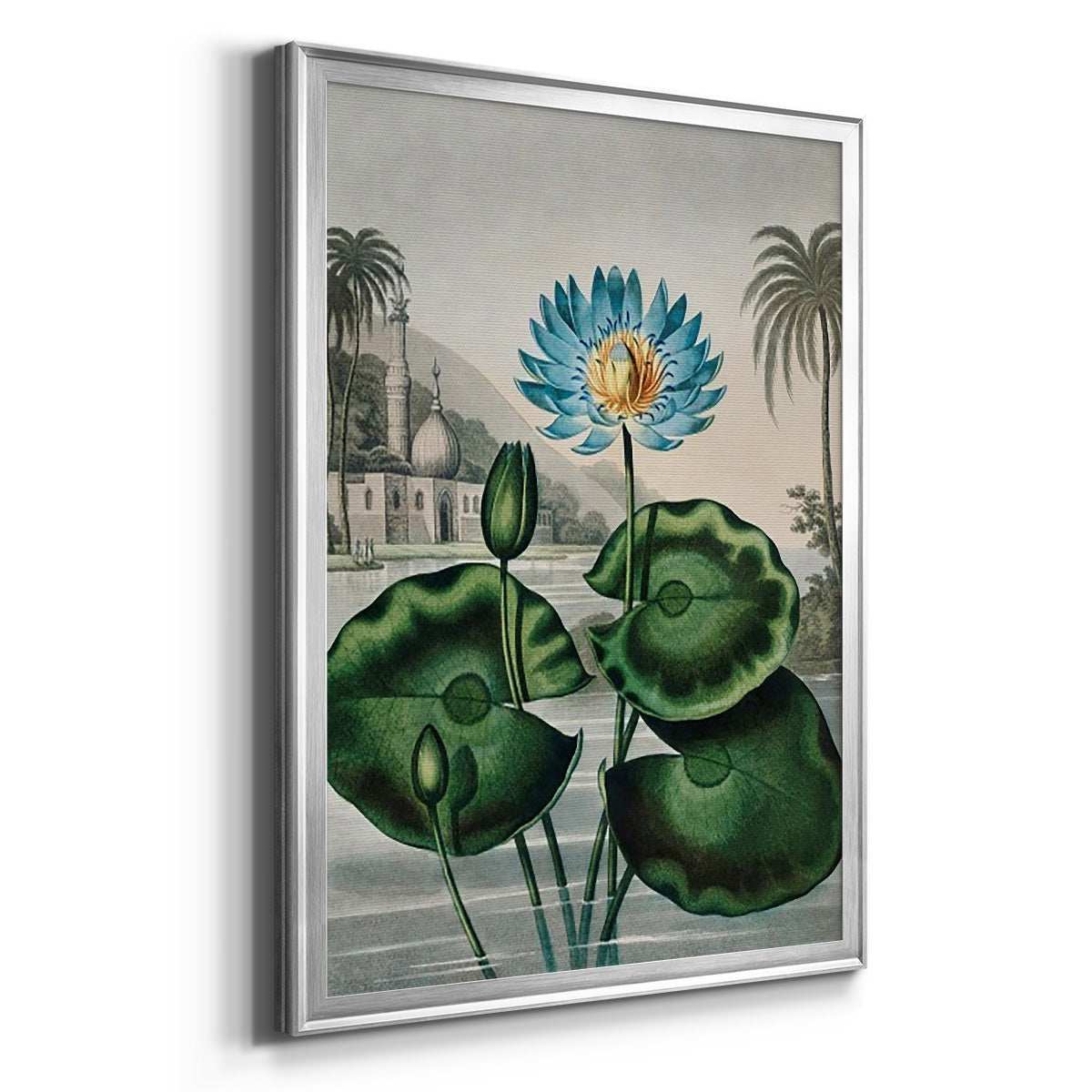 Temple of Flora IX - Modern Framed Canvas Print