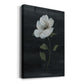 Country Botanical II Premium Gallery Wrapped Canvas - Ready to Hang