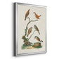 Antique Birds in Nature IV - Modern Framed Canvas Print