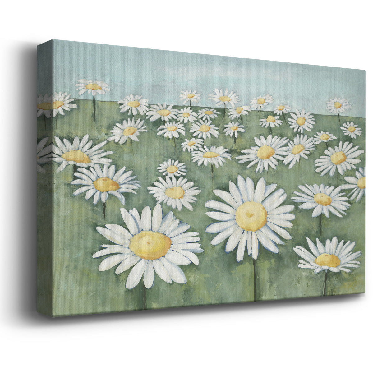 Field of Flowers Premium Gallery Wrapped Canvas - Ready to Hang