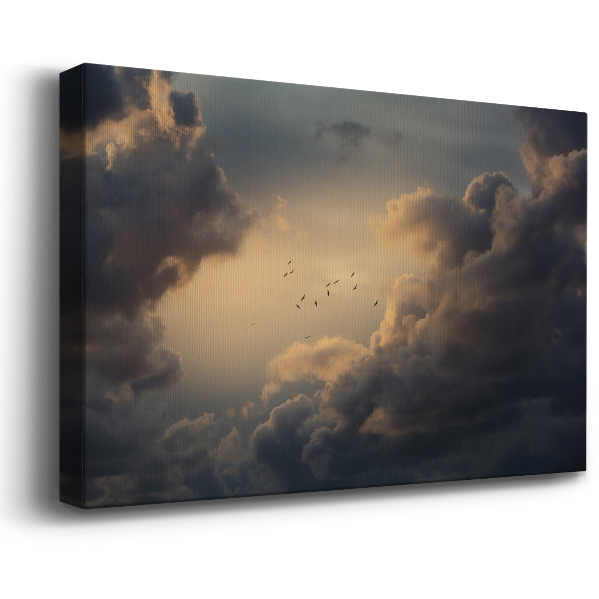 Soaring High Above - Canvas Art Print
