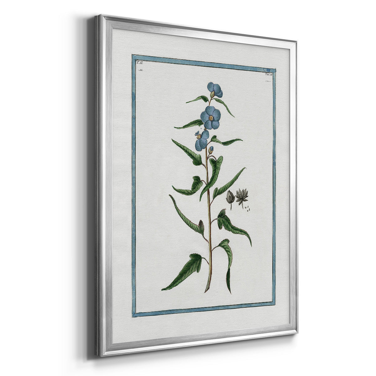 Shabby Chic Botanical I - Modern Framed Canvas Print