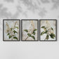 Floral Study Series LXXXVII - Restickable Framed Art Set