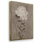 Pretty as a Peony I  -  Framed Canvas Print