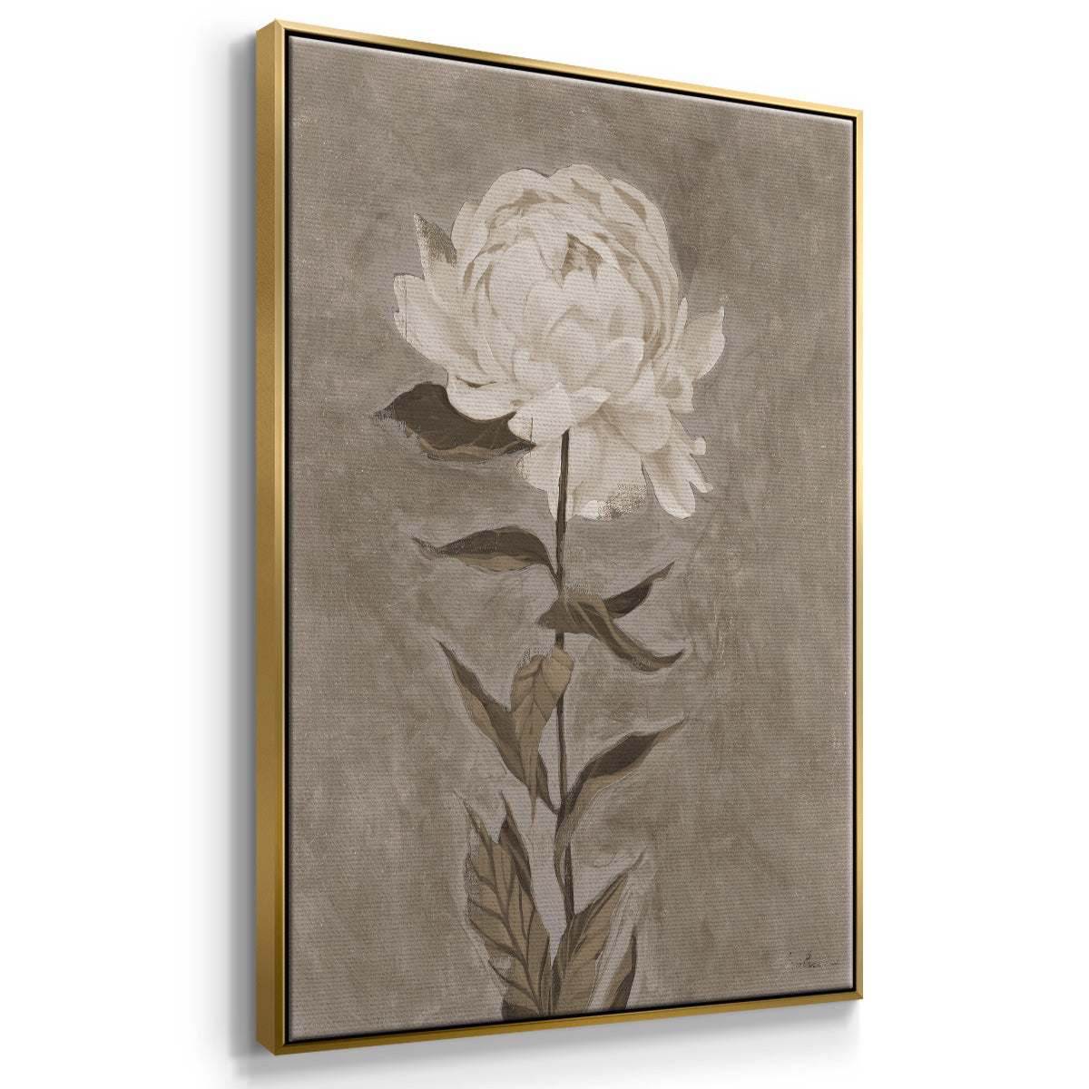 Pretty as a Peony I  -  Framed Canvas Print