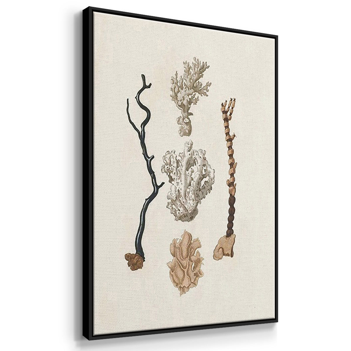 Knorr Shells & Coral IV - Framed Premium Gallery Wrapped Canvas L Frame 3 Piece Set - Ready to Hang