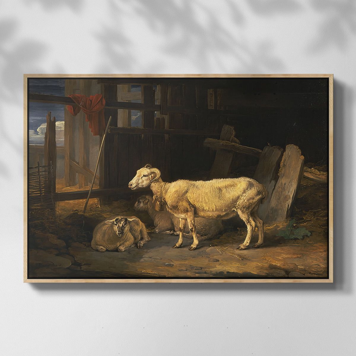Sheep in a Stable, 1810 - Floater Framed Canvas Print