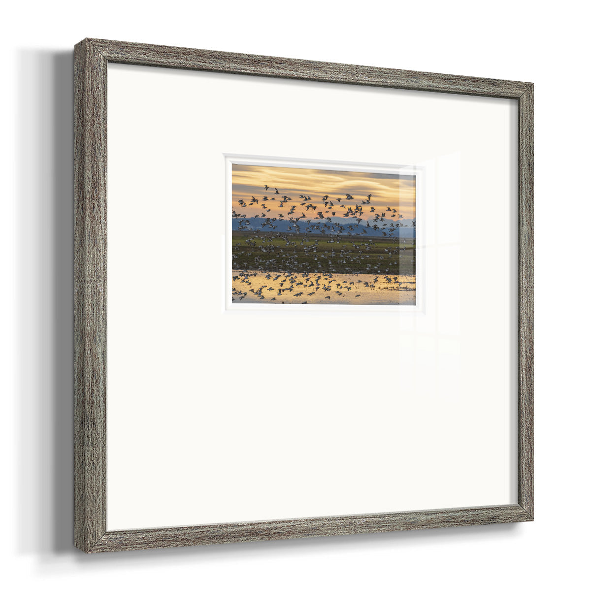 Sunset Flight Premium Framed Print Double Matboard