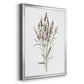 Dainty Botanical III - Modern Framed Canvas Print
