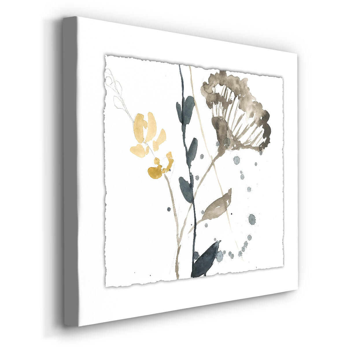 Branch Contours VI - Canvas Art Print