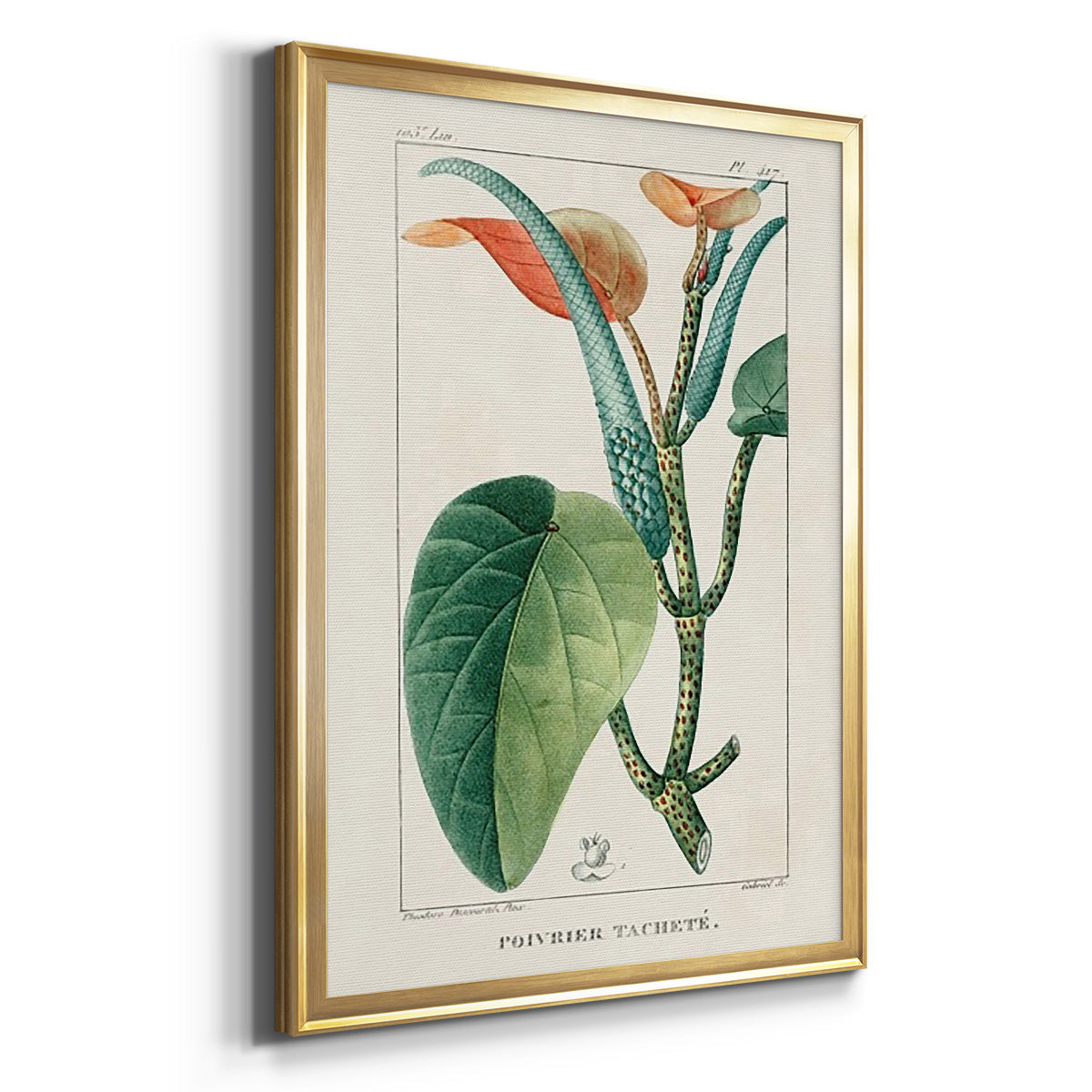 Turpin Tropical Botanicals II - Modern Framed Canvas Print