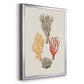 Knorr Shells & Coral IV - Modern Framed Canvas Print