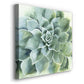 Verdant Succulent II-Premium Gallery Wrapped Canvas - Ready to Hang