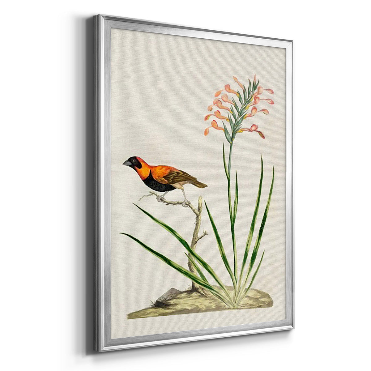 Bird in Habitat III - Modern Framed Canvas Print