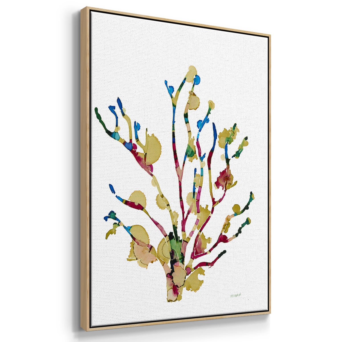 Sea Coral III - Framed Premium Gallery Wrapped Canvas L Frame - Ready to Hang