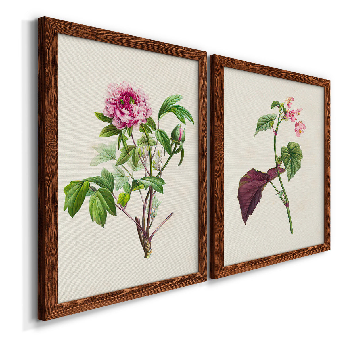 Pretty Pink Botanicals V - Premium Framed Canvas 2 Piece Set - Ready to Hang