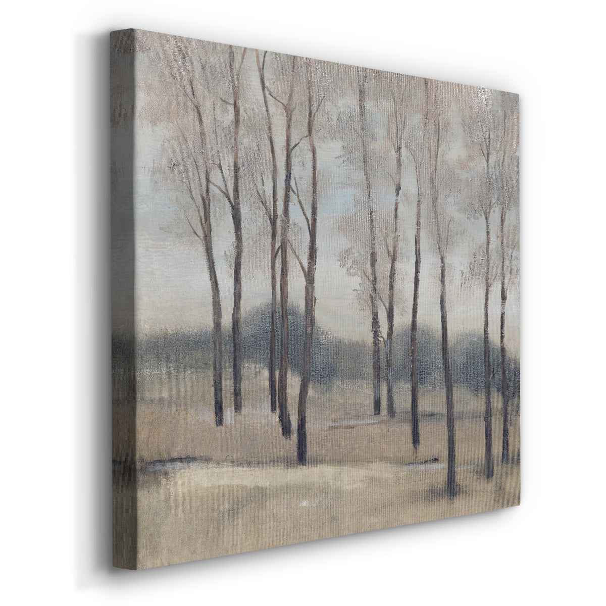 Soft Light II - Canvas Art Print