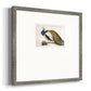 Peackock Plumage Premium Framed Print Double Matboard